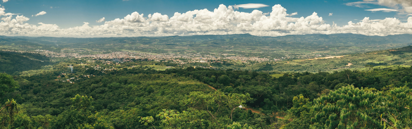 Paisaje verde de selva y montañas